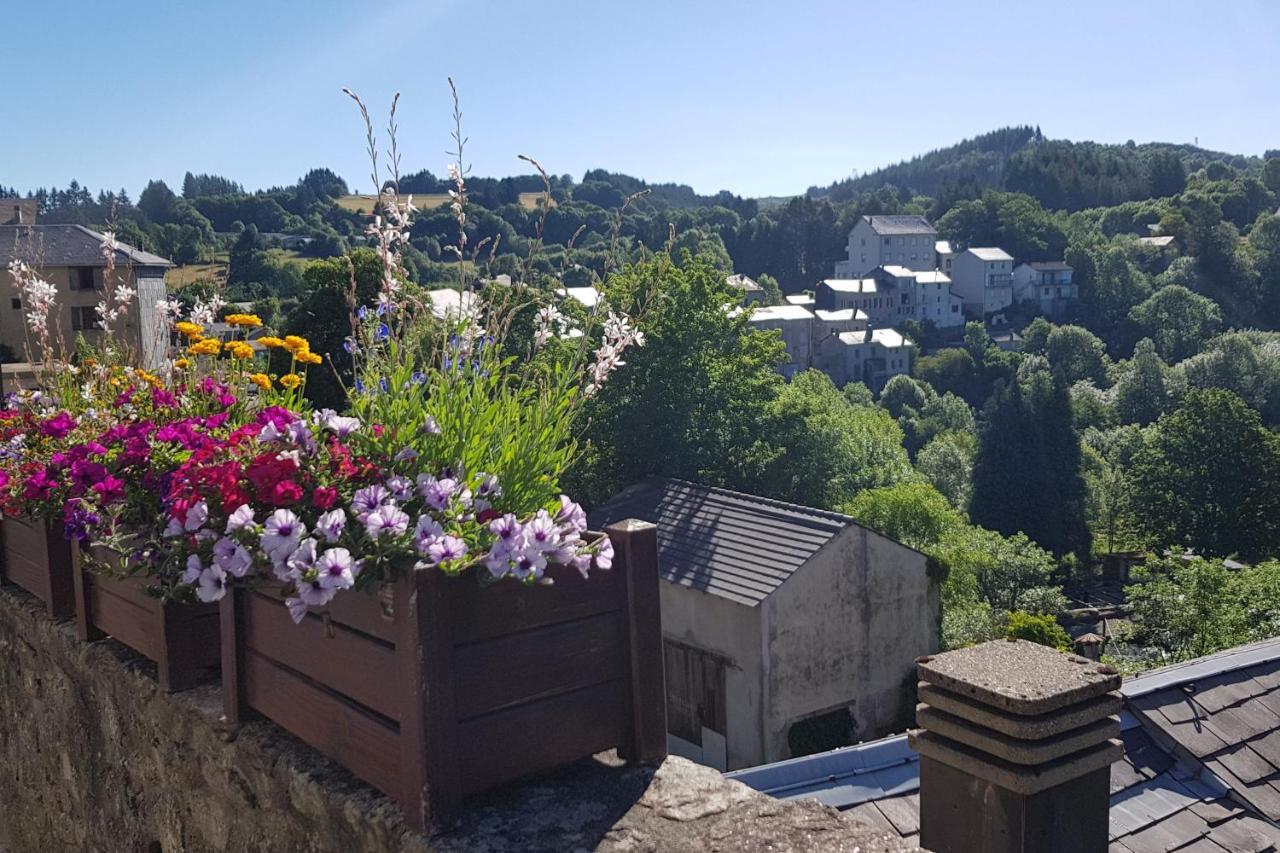 Villa Les Chalets du Gua Des Brasses à La Salvetat-sur-Agout Extérieur photo